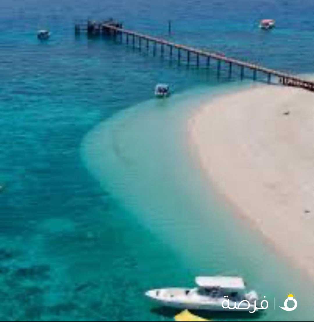 مطلوب كبتن طراد رحلات بحرية