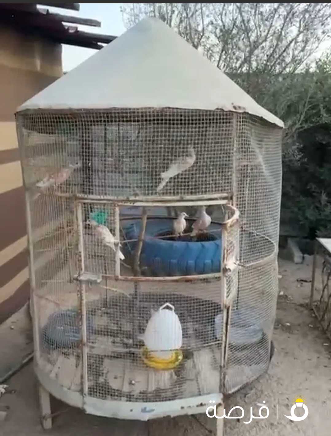 للبيع محمية ياكربم برق