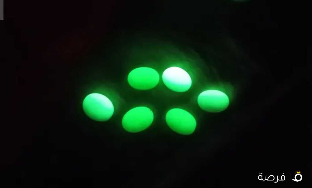 للبيع احجار طاقة مصيئة خاتم للبيع خواتم للبيع فضة وعقيق اصلي