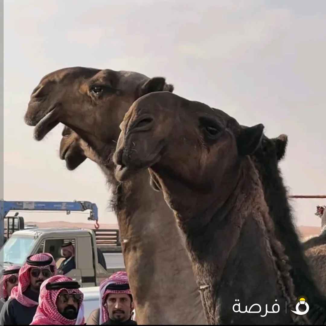 حلاقة وغسيل أبل