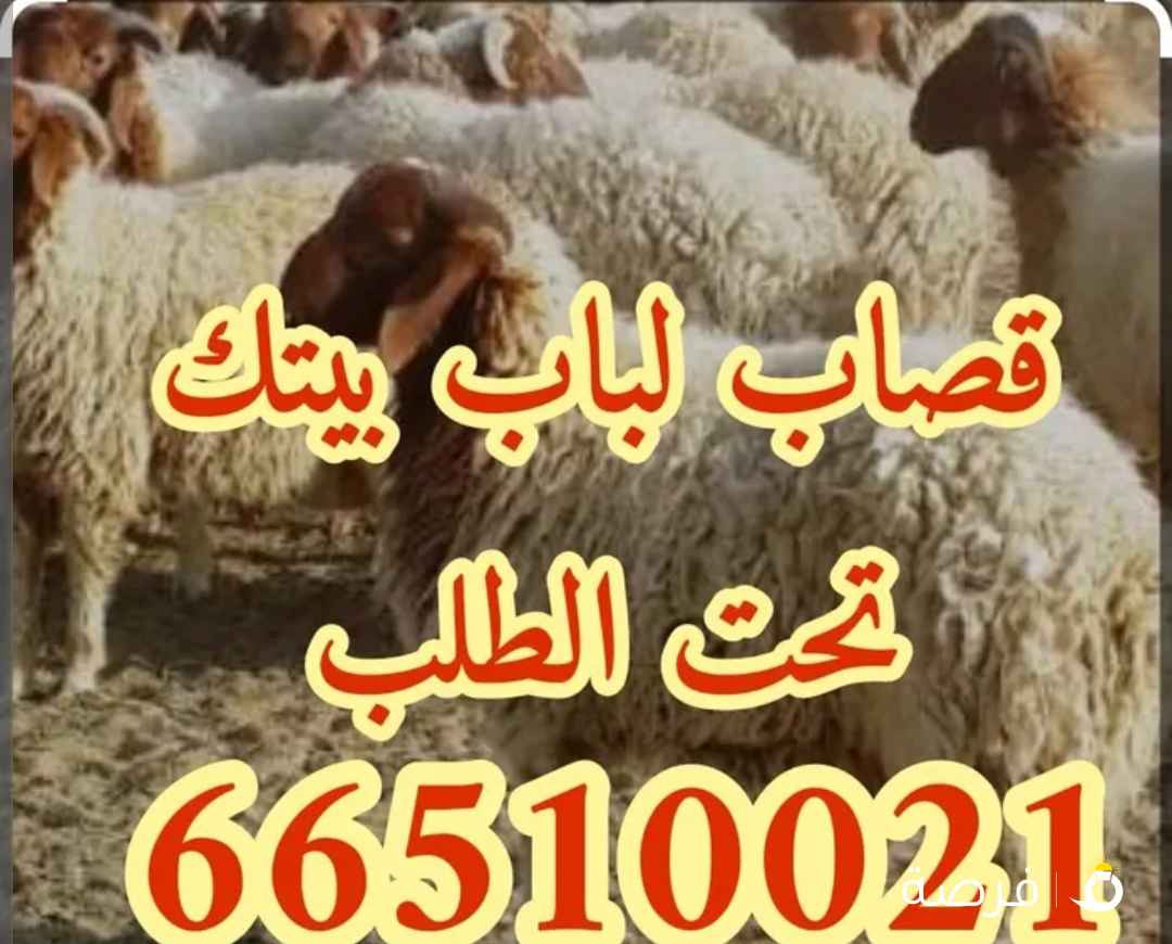 قصاب تحت الطلب +زبايح للبيع