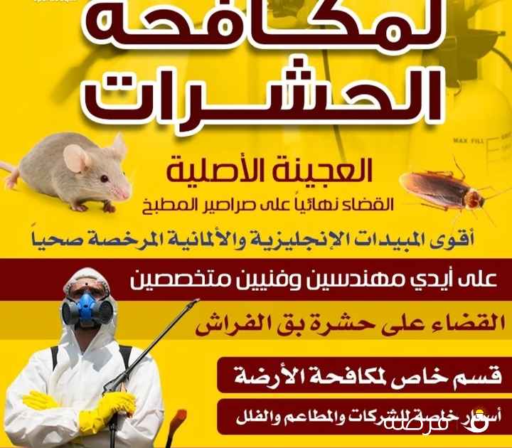 الشركة الدولية لمكافحة الحشرات بجميع مناطق الكويت