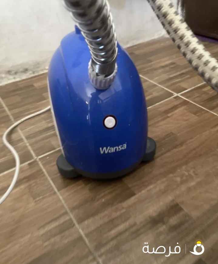 Wesna steamer