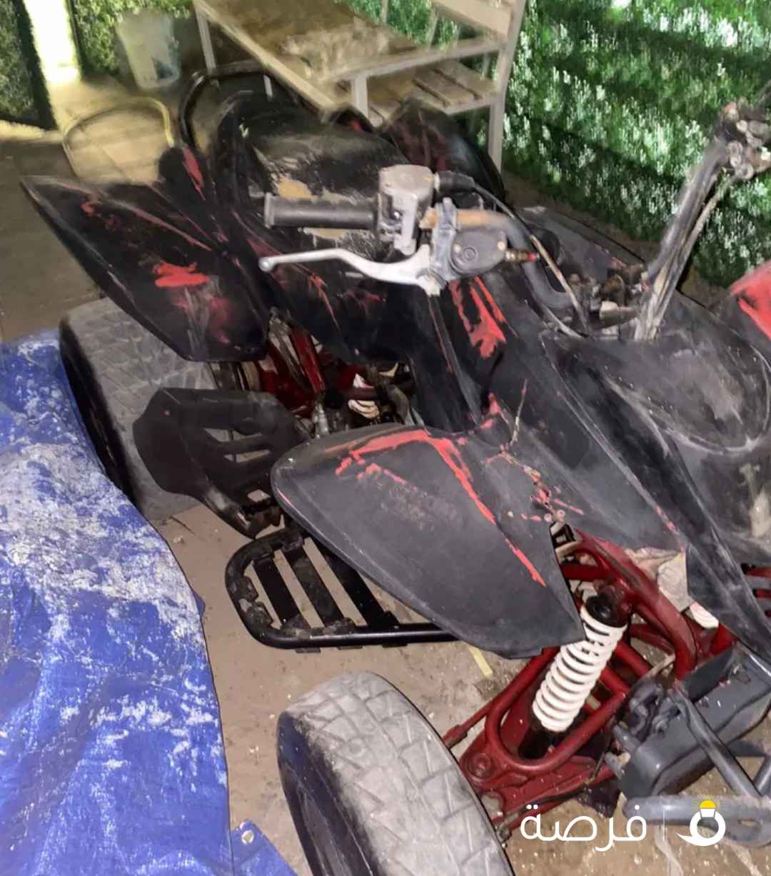 رابتر 250( البقي عند الصباغ