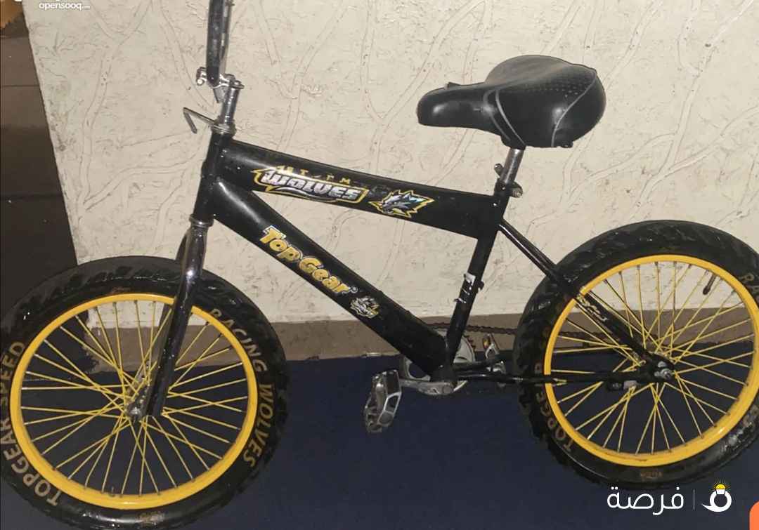 قاري بحاله ممتازه