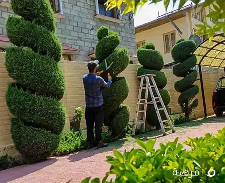 تنسيق و صيانة حدائق و انشاء و صيانة شبكات الري في جميع مناطق الكويت