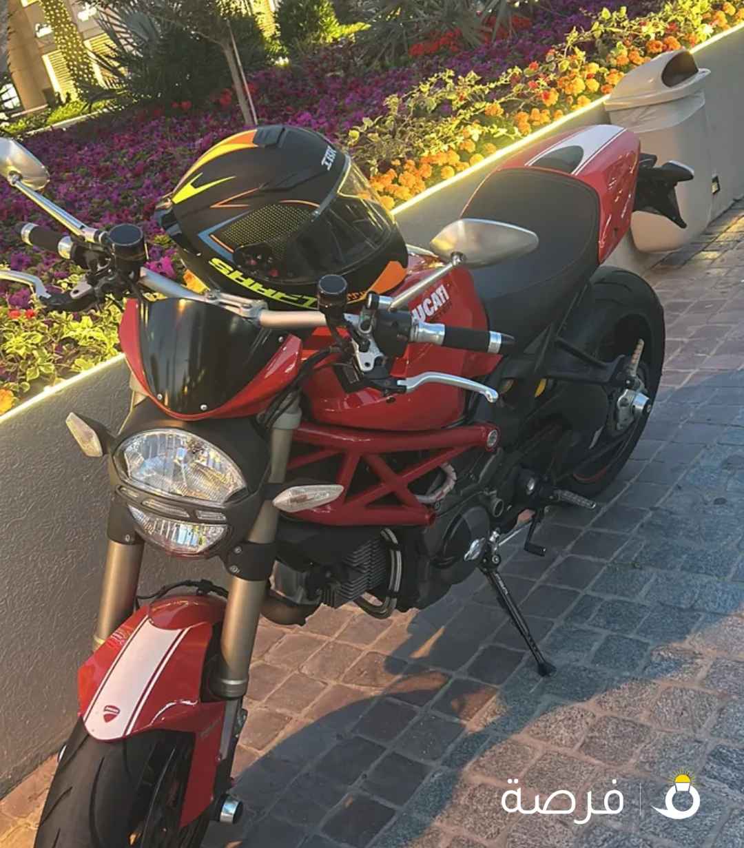 Ducati monster evo 1100