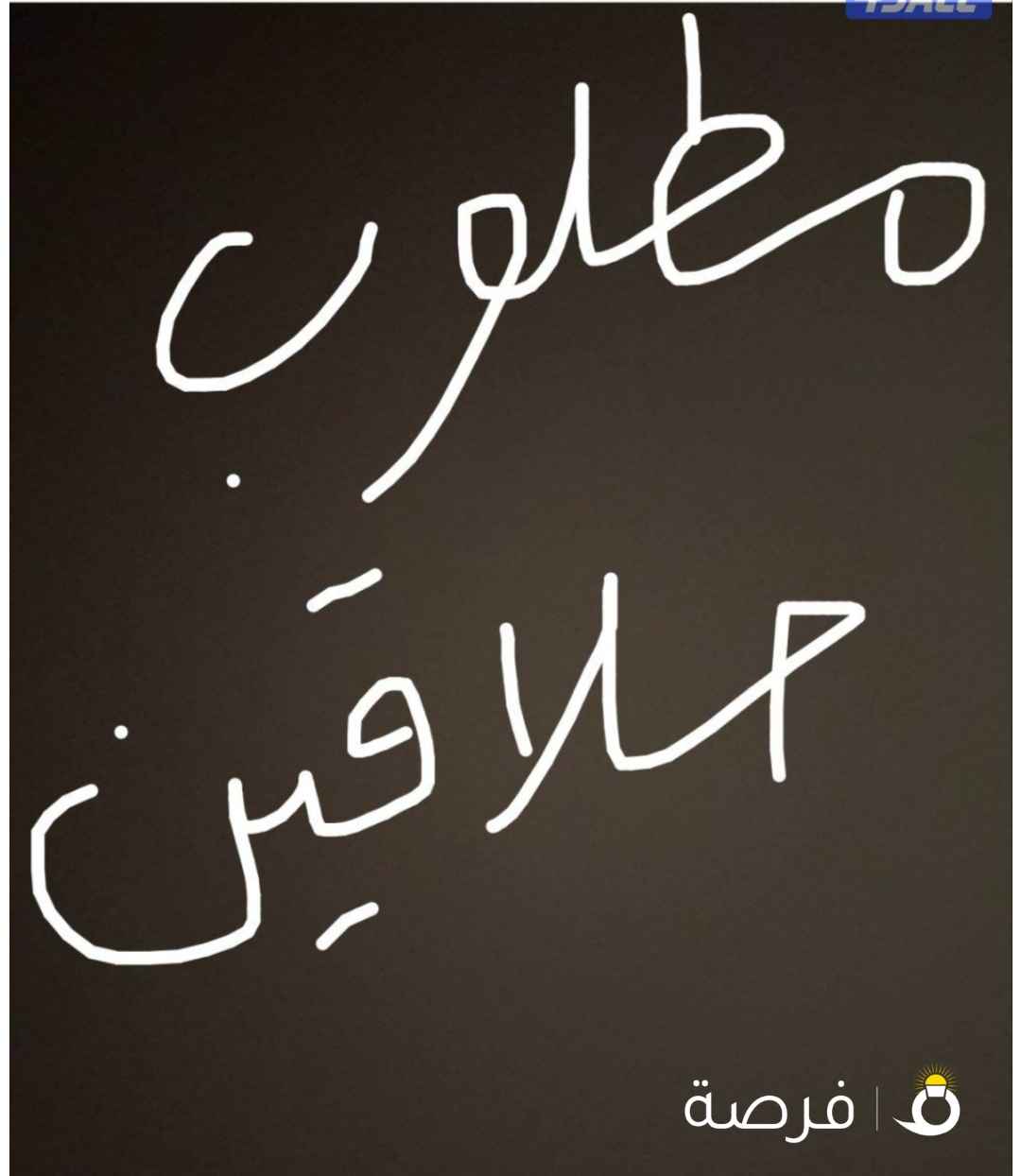 مطلوب حلاقين