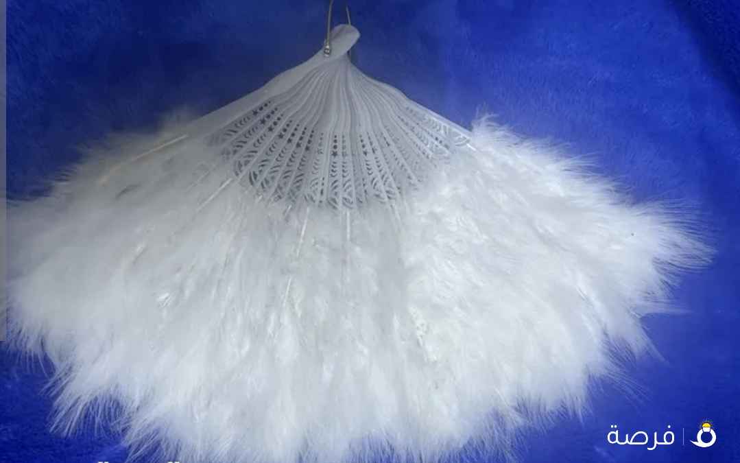 هوايات من الريش النعم الطبيعي في السالمية السوق القديم الكمية محدوده السعر المنخفض