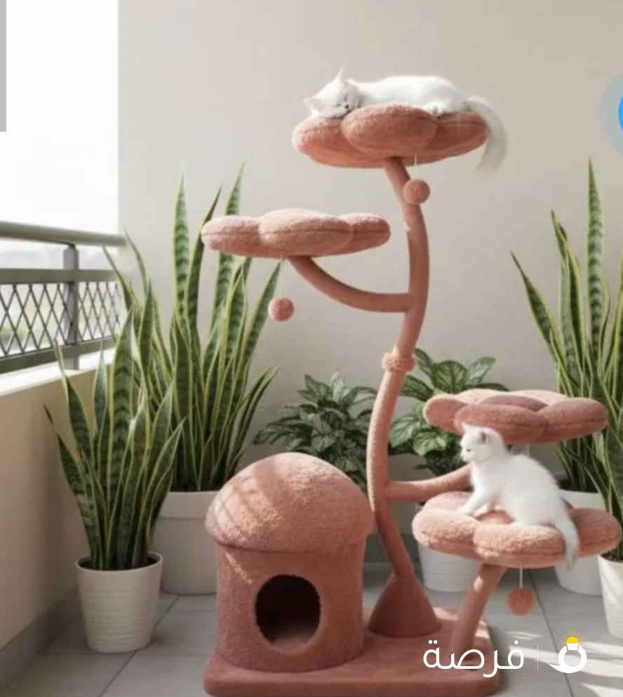 شجرة القطط وخداشات