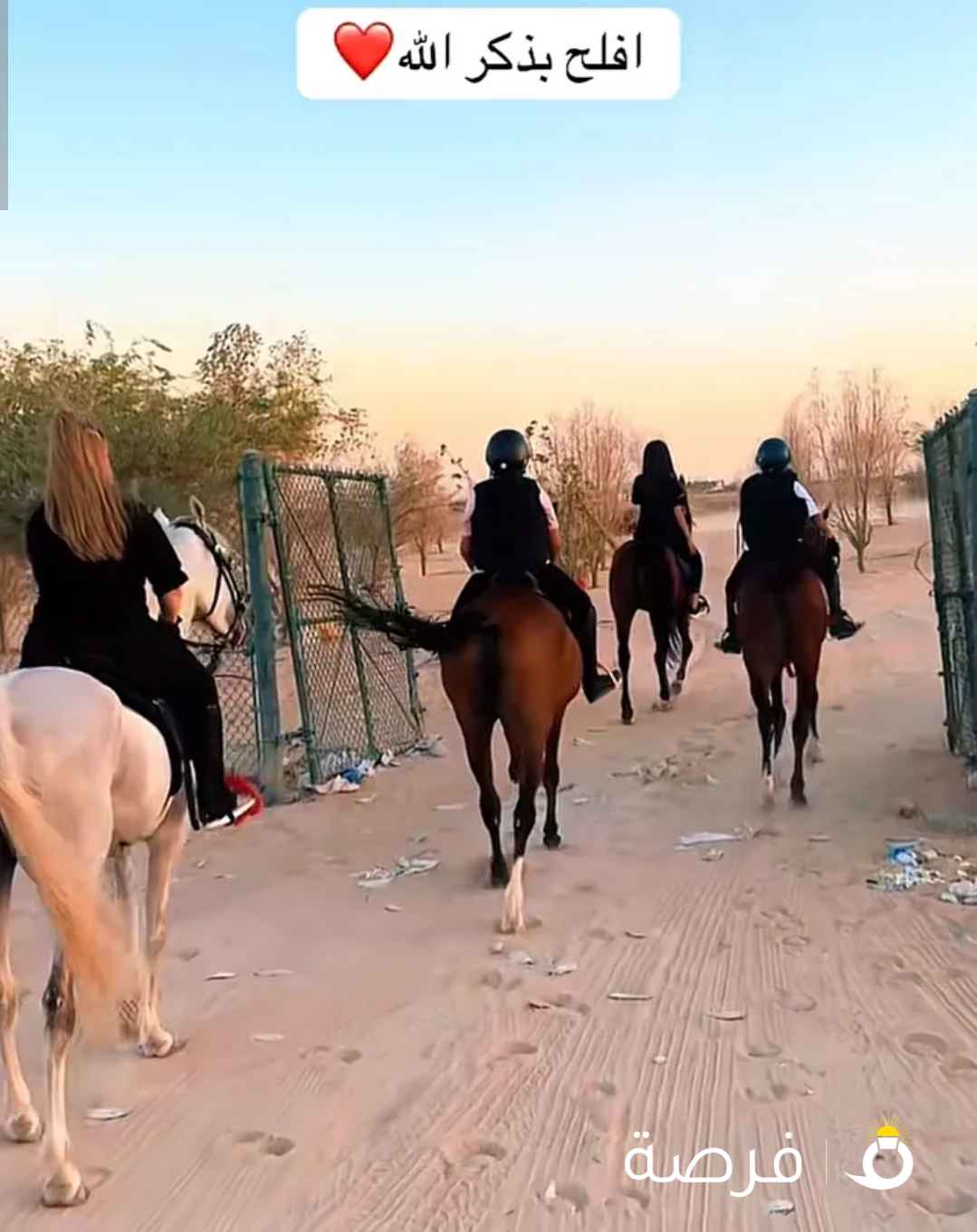 مدرسة لتدريب على الخيل + ربط ايواء