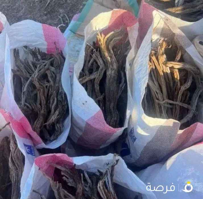 للبيع رمث سعودي صافي