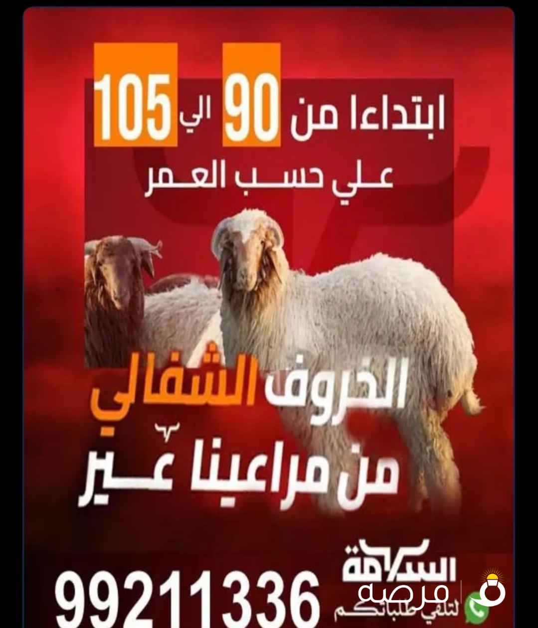 ذبايح السلامة