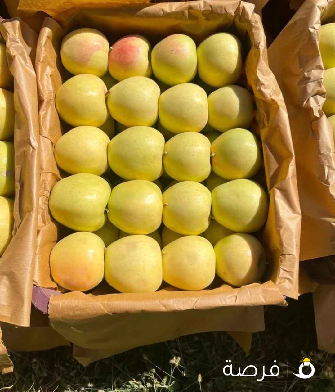 فواکه وخضروات