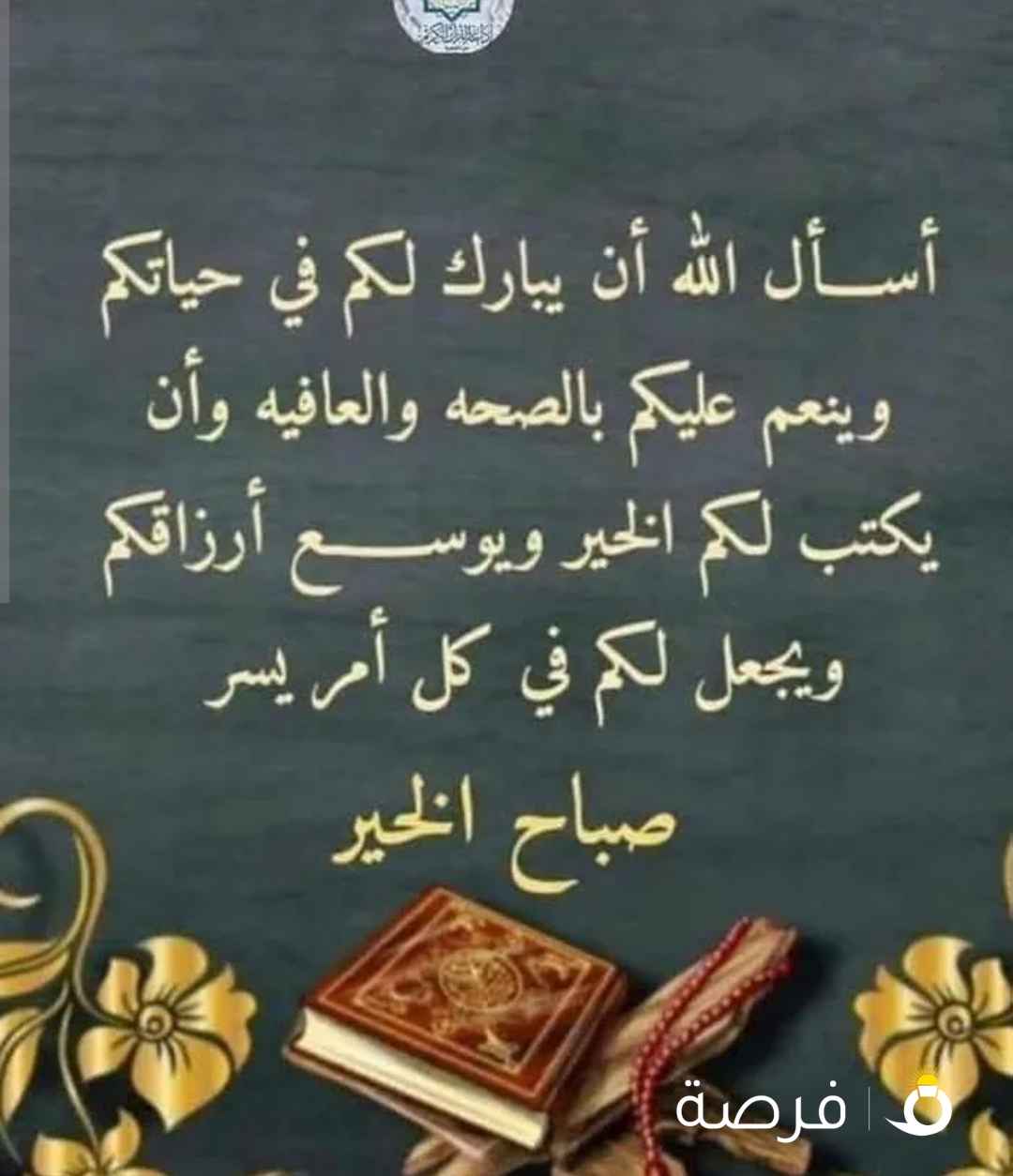 للبيع دجاجه عربي