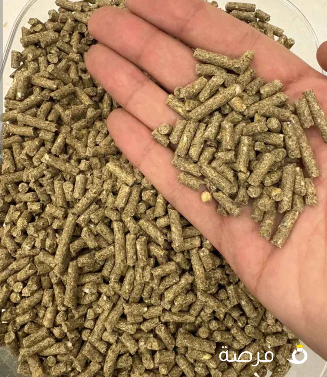 مستلزمات الارنب