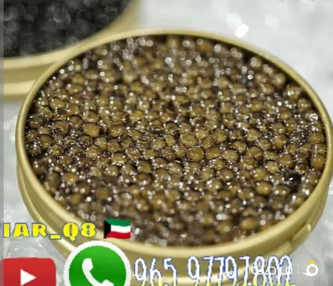 العسل الابيض النادر الاصلي