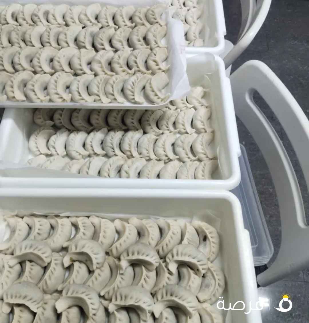 Frozen Chicken and Seafood momos