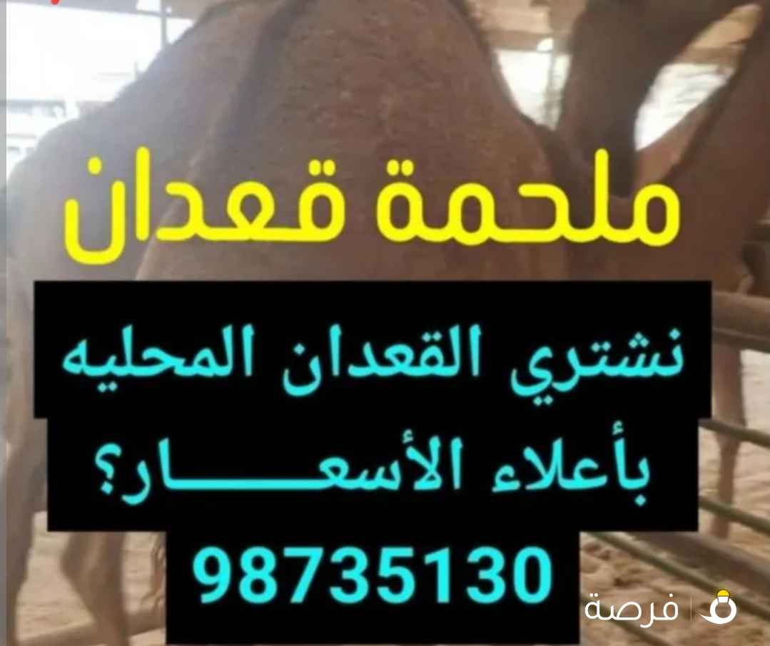 للبيع قعدان محليّة طيبه وتجمل