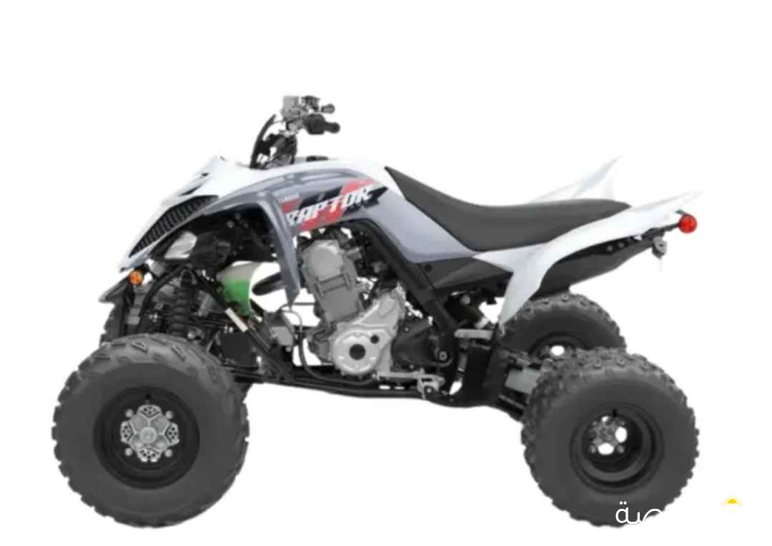 مطلوب بقي رابتر اقصاد