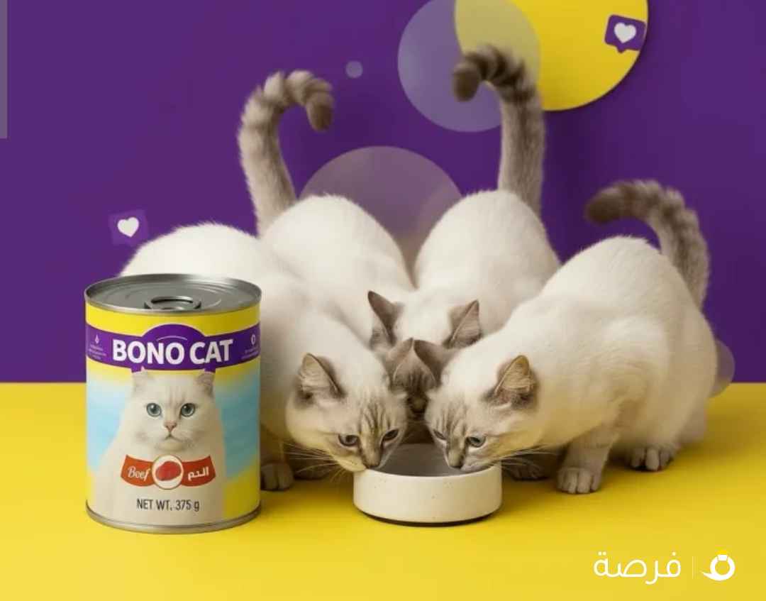 بونو كات غذاء القطط