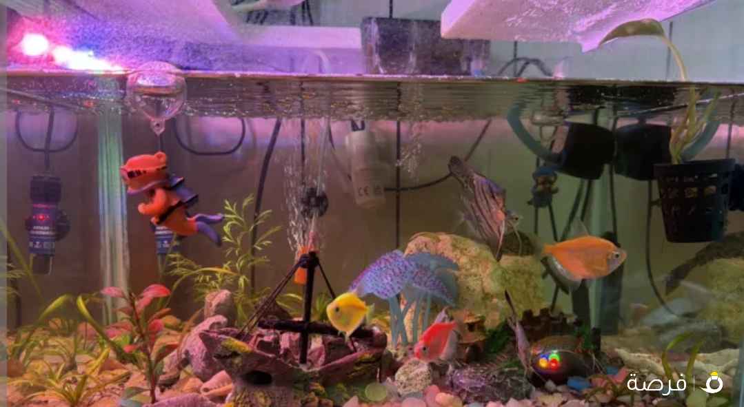 Aquarium for sale