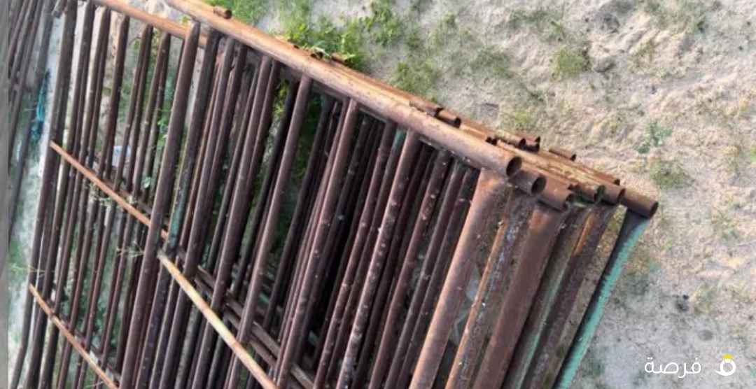 37 شبك غنم مابين 120 ارتفاع و متر