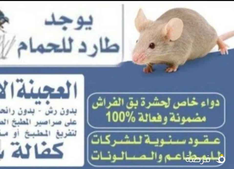 مكافحة حشرات وقوارض