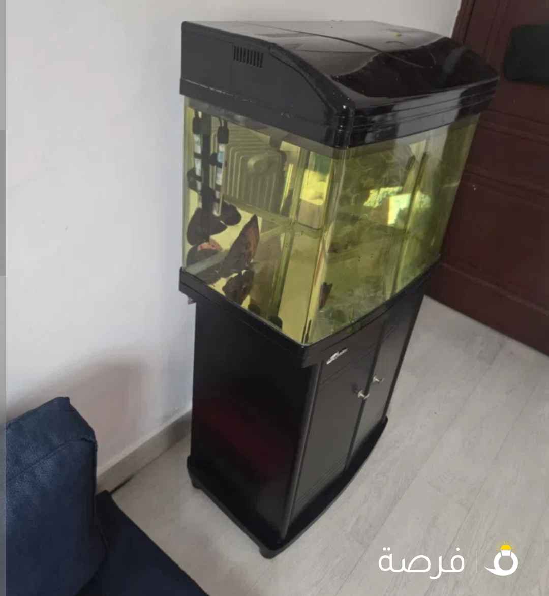 للبيع حوض مع الخزانة وفلتر خارجي-مستعمل