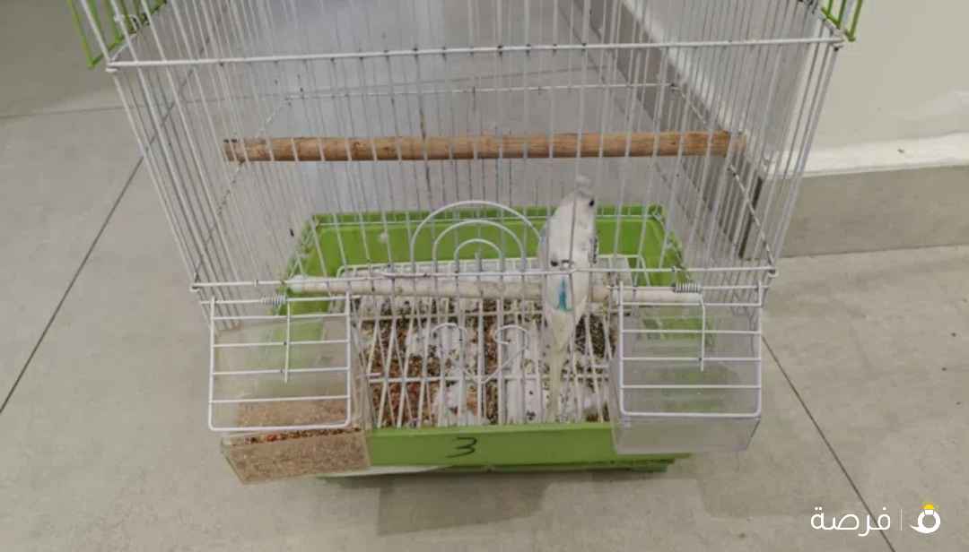 التواصل على الرقم