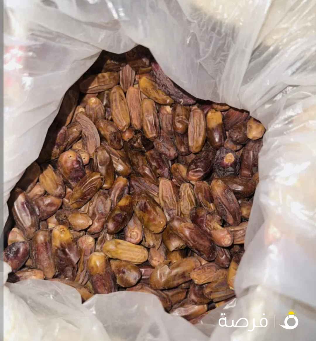 بلح ناشف مناسب علف للابل والماعز والاغنام غنى بالبروتين