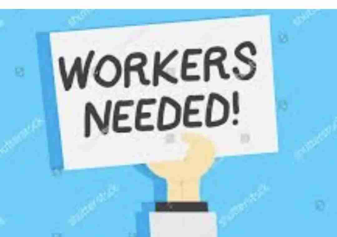 مطلوب عامل بقالة baqalla worker wanted