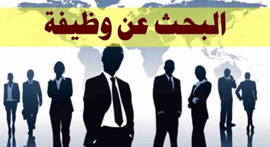 مطلوب موظف لشركة تصدير سيارات