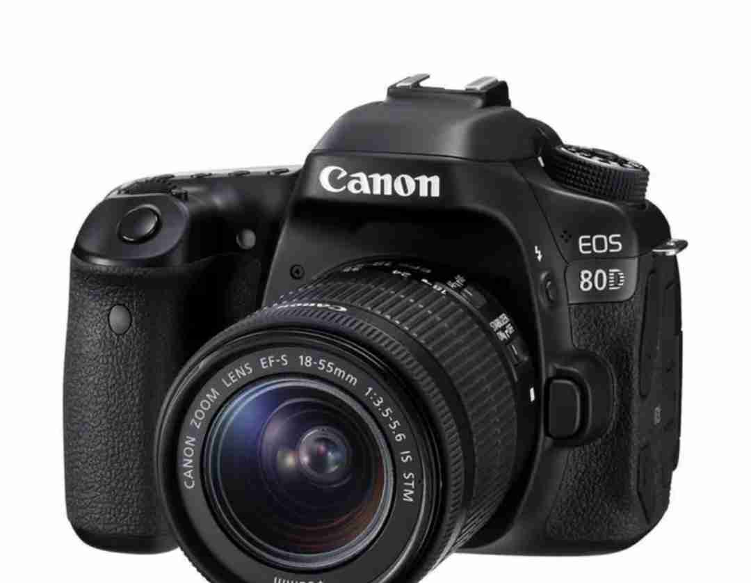 canon 80d كانون