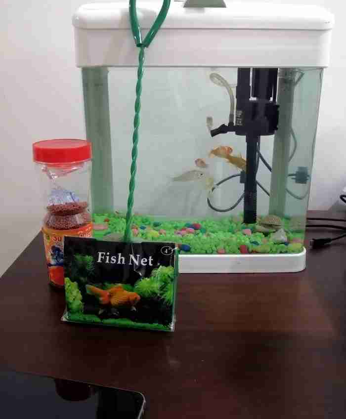 Fish tank