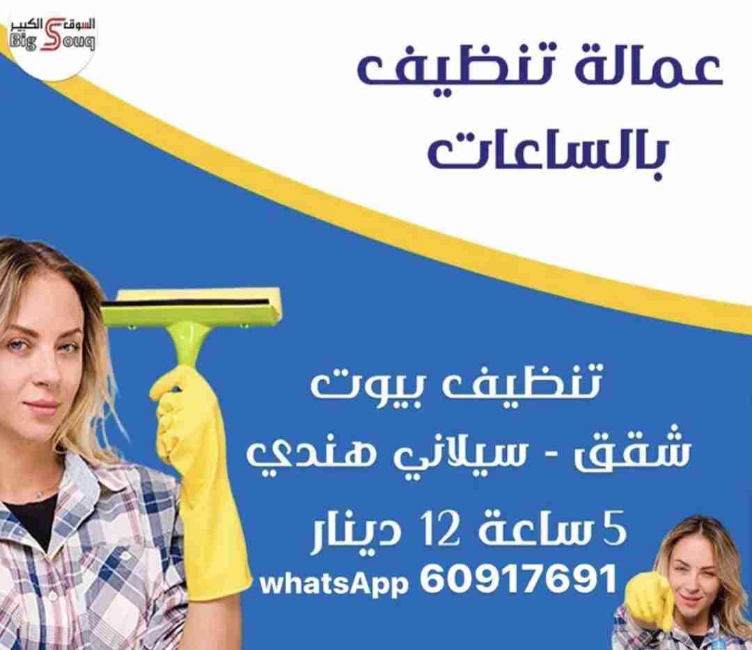 تنظيف شامل