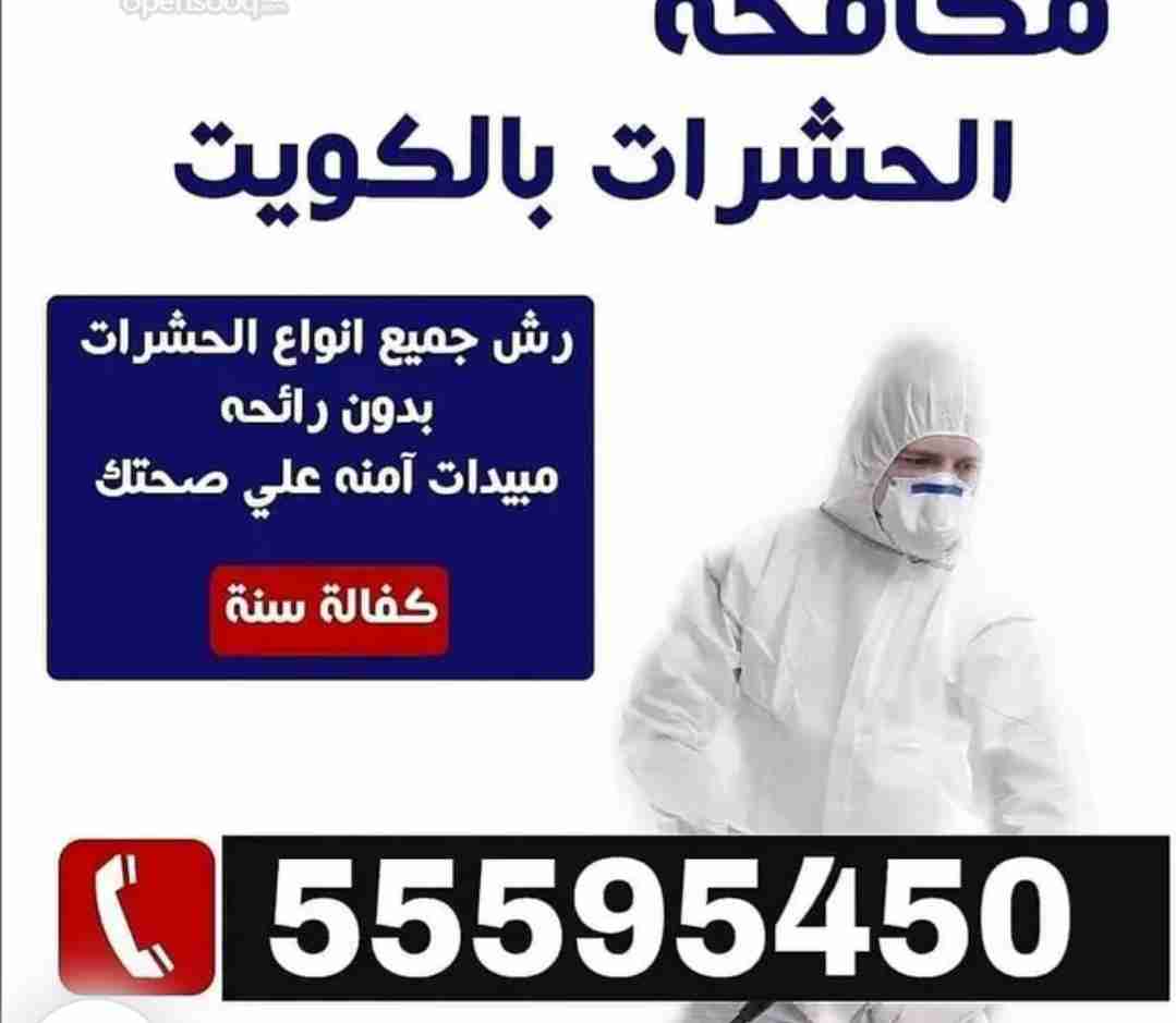 شركة رش حشرات بالكويت أرخص الاسعار اقوى جودة