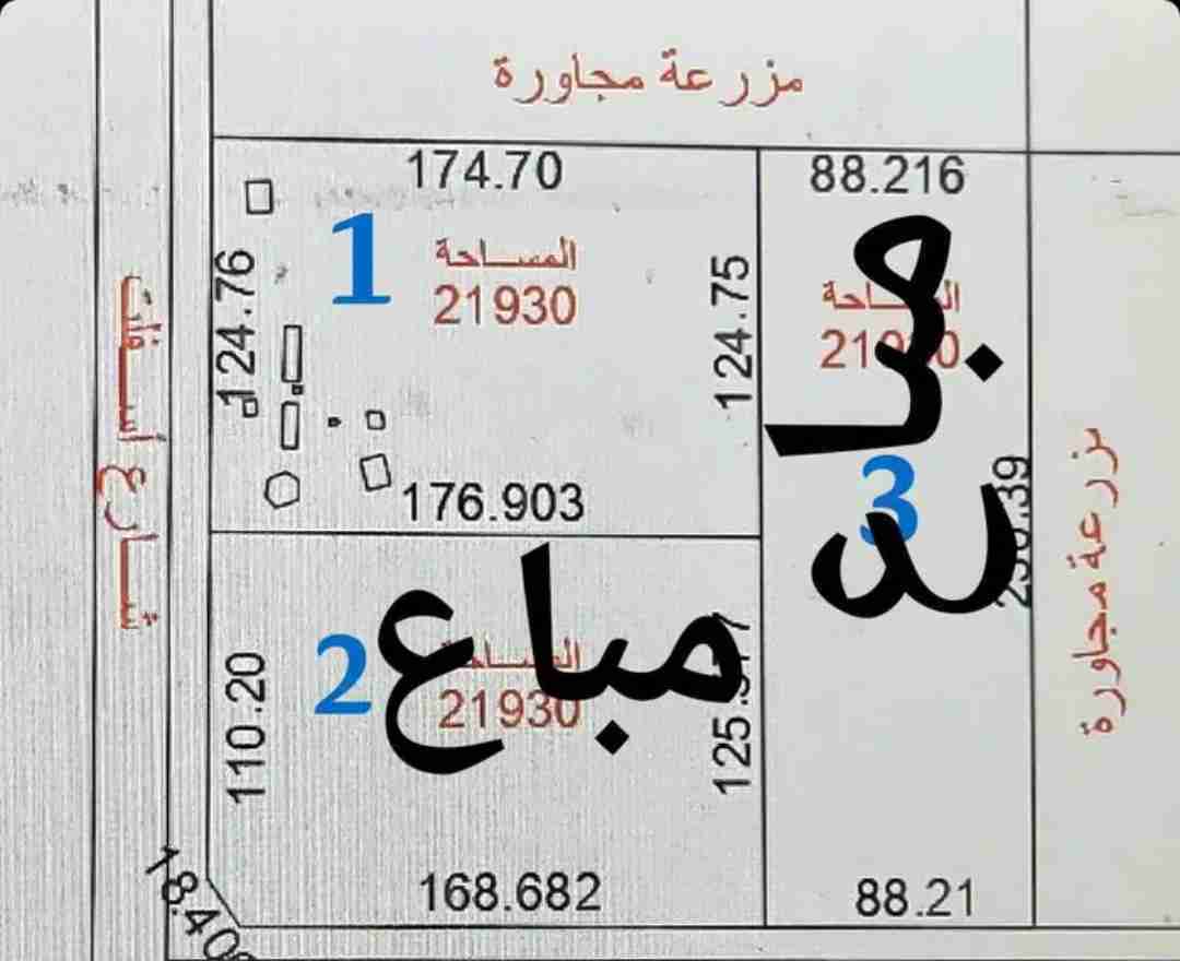 للبيع مزرعه في الوفره قرب مسجد بن التويم