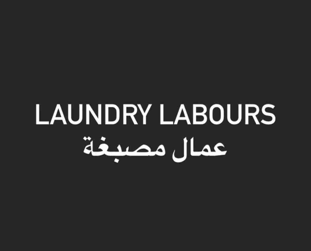 Laundry Labors