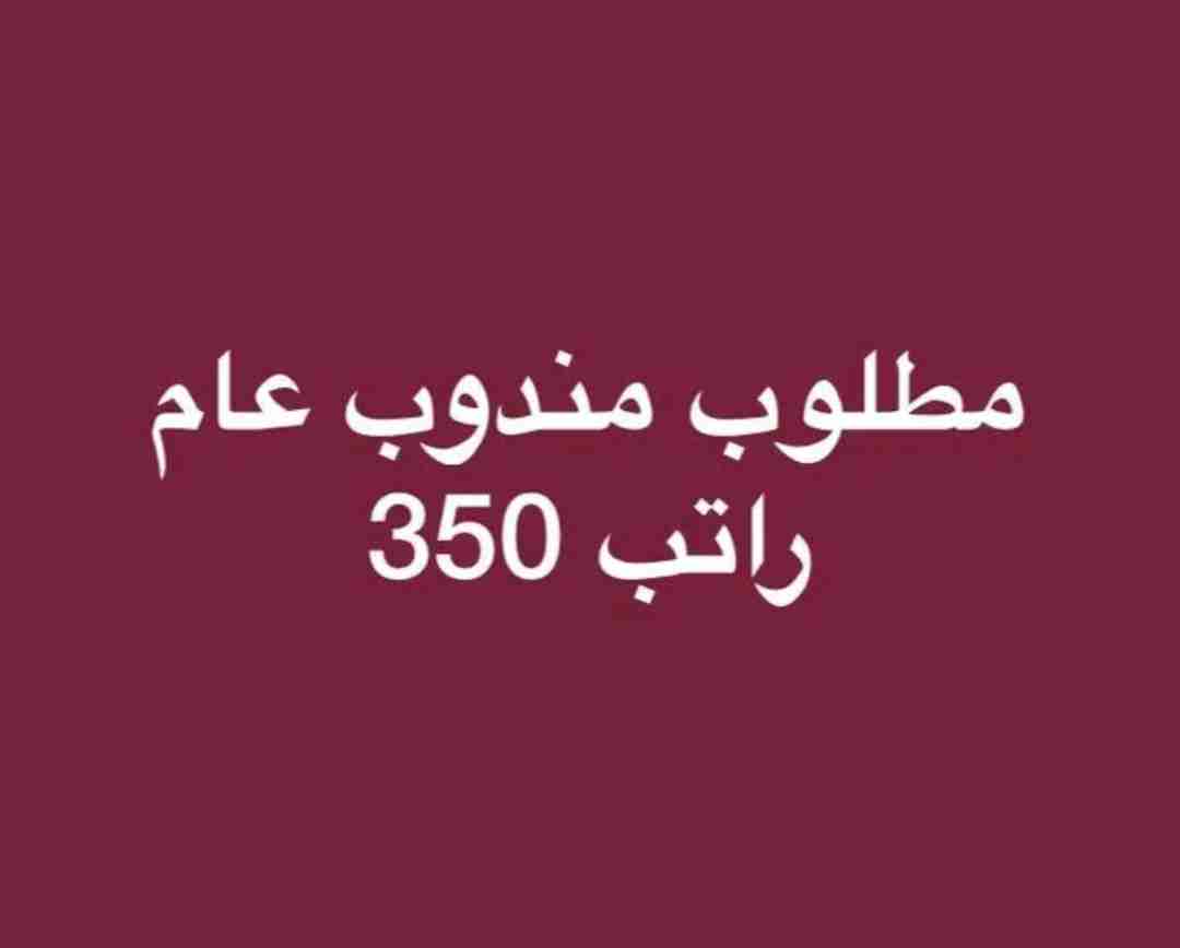 مطلوب مندوب عام راتب 300