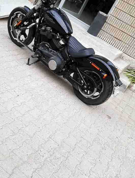 harley davidson street bob 2019