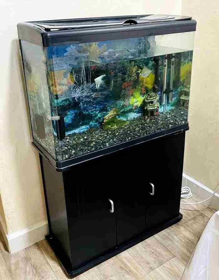 fish aquarium for sale