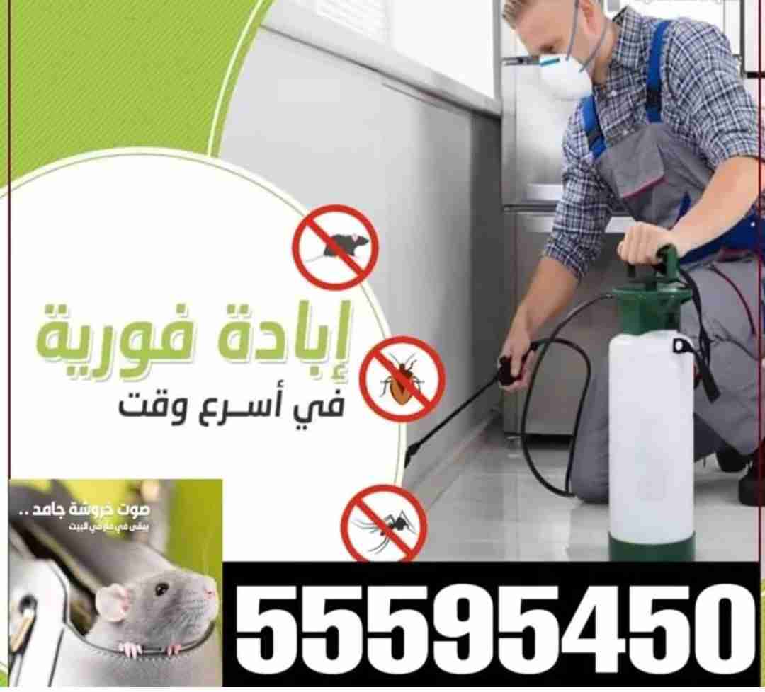 شركة رش حشرات التربة قبل البناء