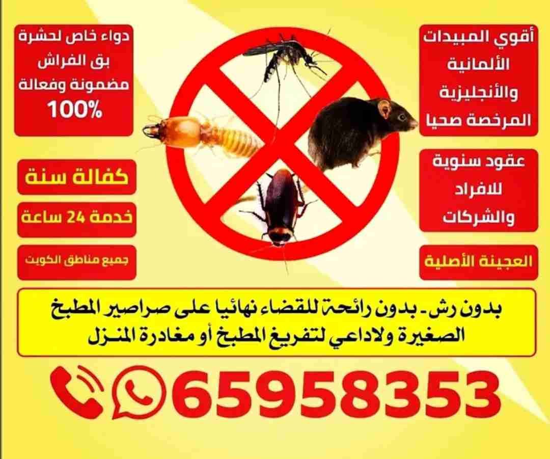 مكافحه حشرات والقوارض ارخص الاسعار نحنو الافضل في مكافخه جميع الحشرات