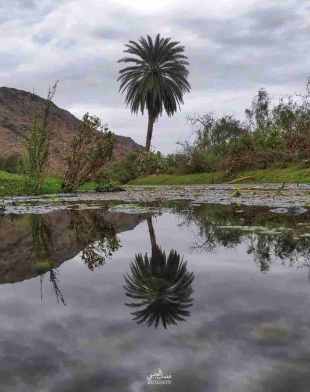 مطلوب معلم أصباغ وديكورت لإدارة معرض ديكورات وأصباغ وورق جدران ..