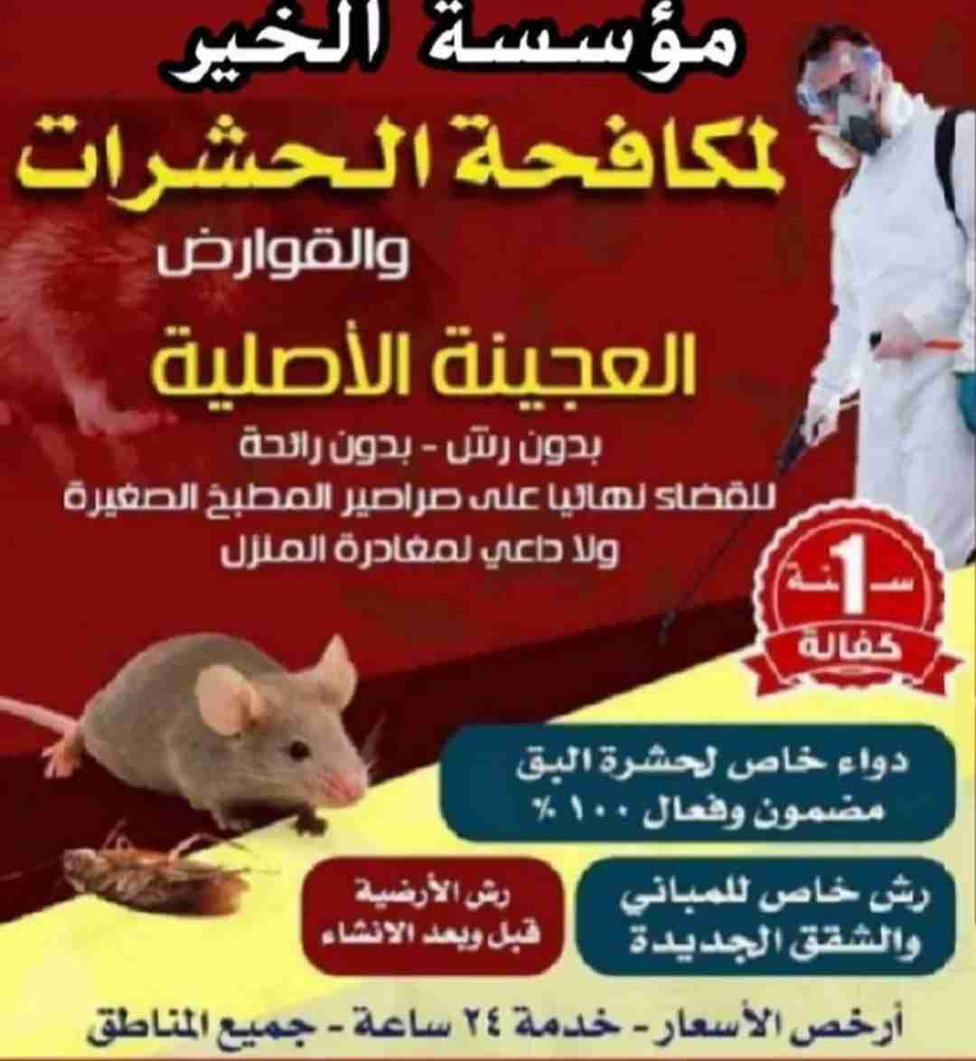 مكافحة حشرات وقوارض