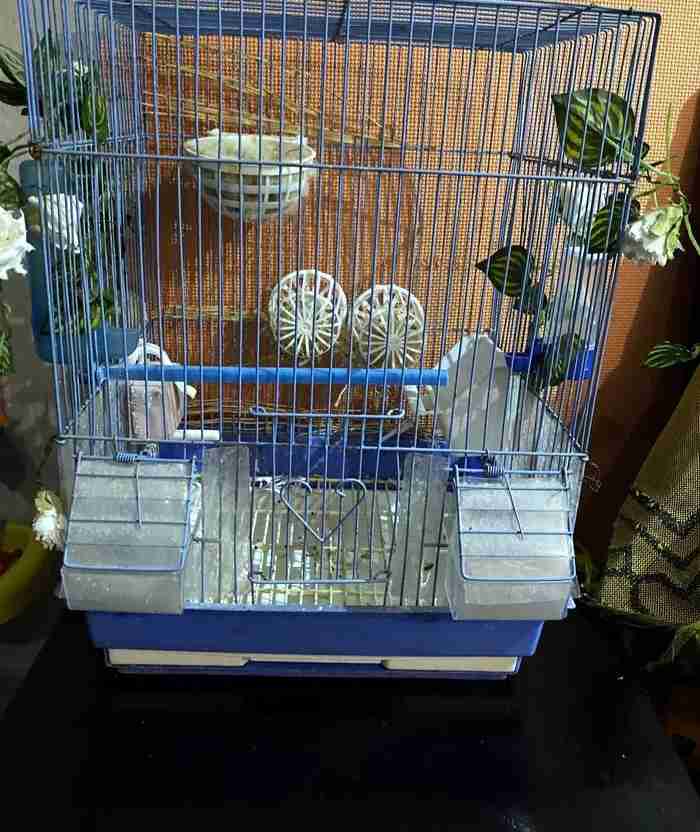 Birds cage for sale