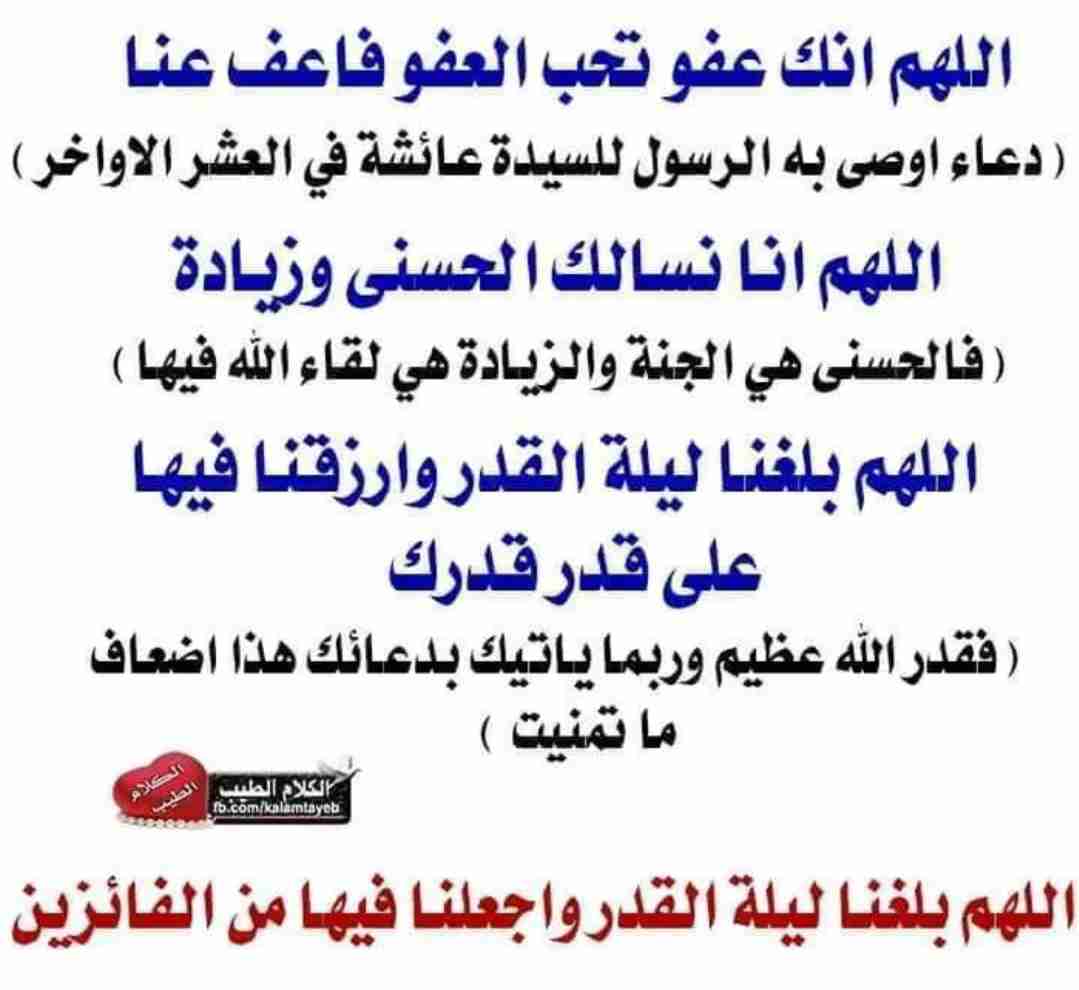 مطلوب شاب مصري للسكن داخل غرفه مع شخص اخر داخل ملحق مكيفه بل الفروانيه ق 1خلف نا