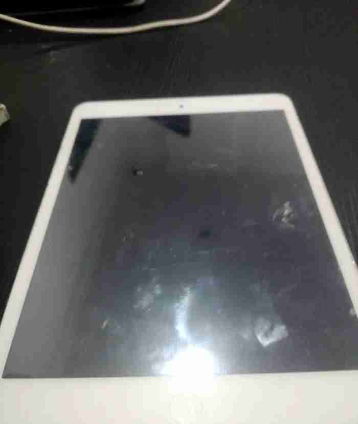 iPad mini 2