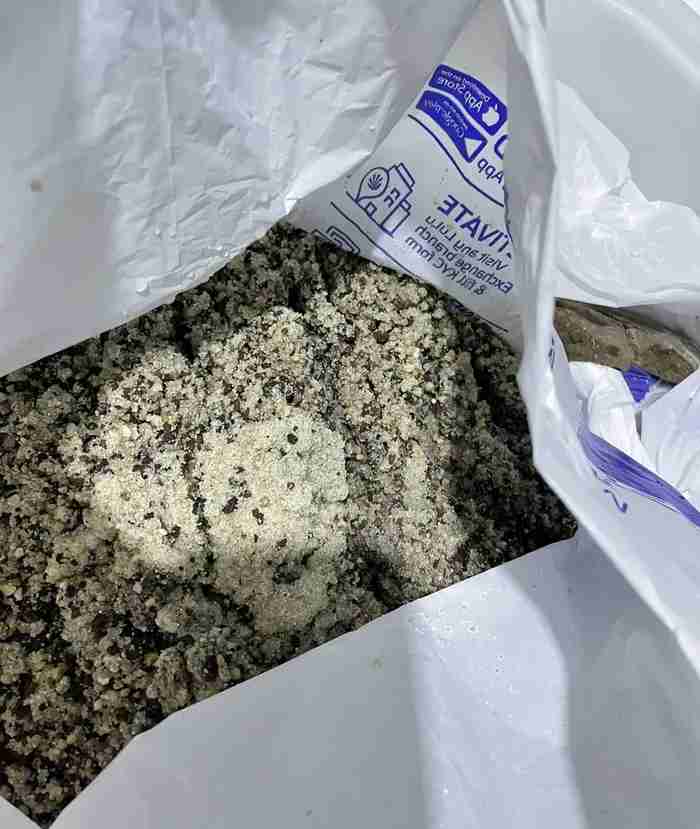 aquarium sand substrate with rocks and fish food